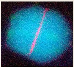 Elemental mapping image of a nanoscale heterostructure